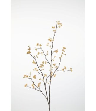 Elm Seed Spray 132cm pk