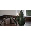Uyuni LED kaars Santa Claus, Olive green,  Smooth, 10x17 cm