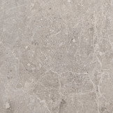 Porcelanosa vloertegel Noir Topo 59,6x59,6 cm