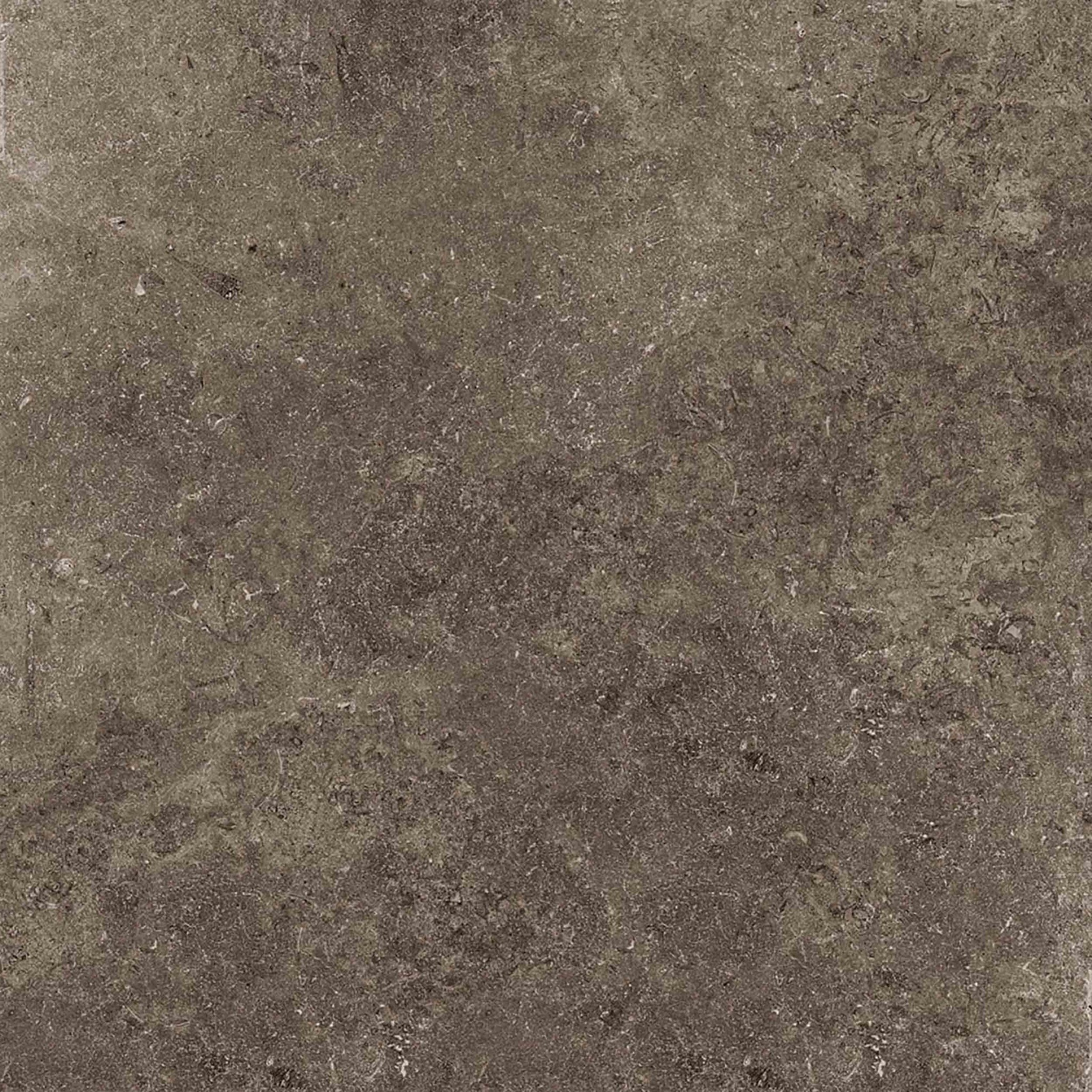 60x120cm Secret Stone Rare Dark