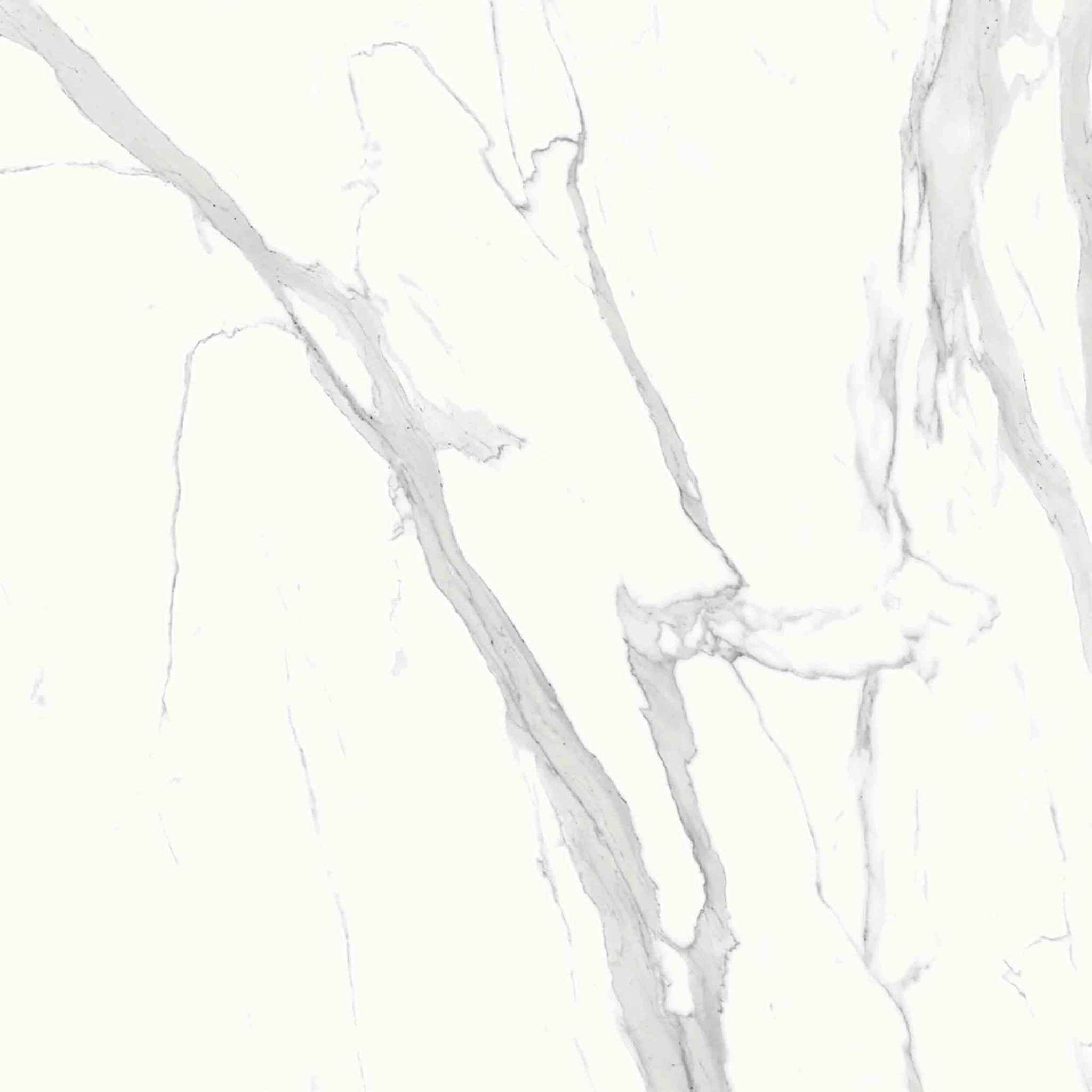 260x120cm Neolith Estatuario E01, Silk