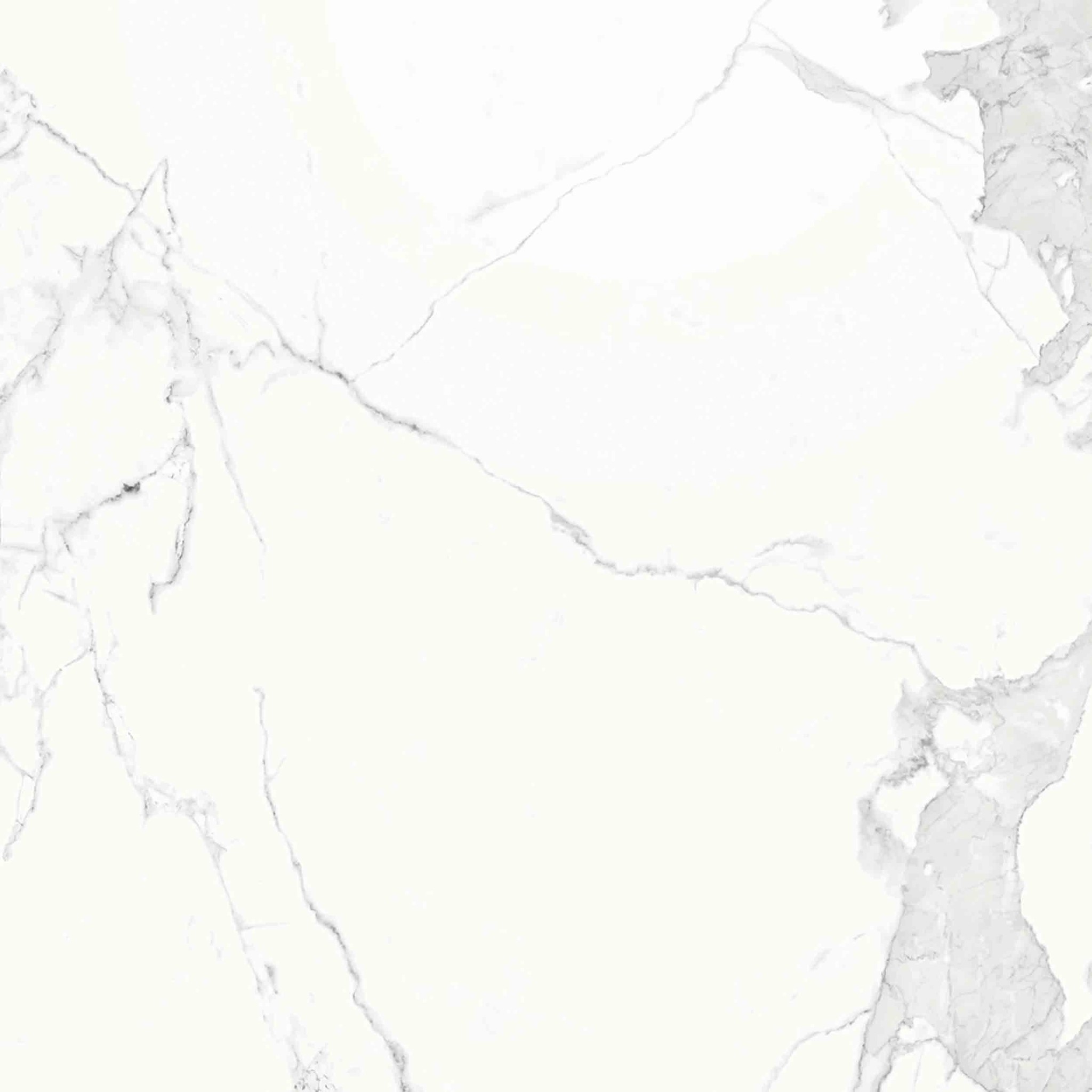 260x120cm Neolith Estatuario E01R, Polished