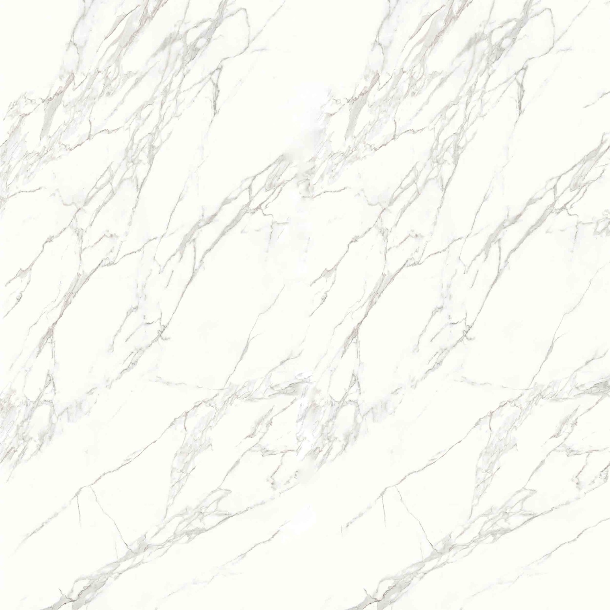 260x120cm Neolith Calacatta C01R, Silk