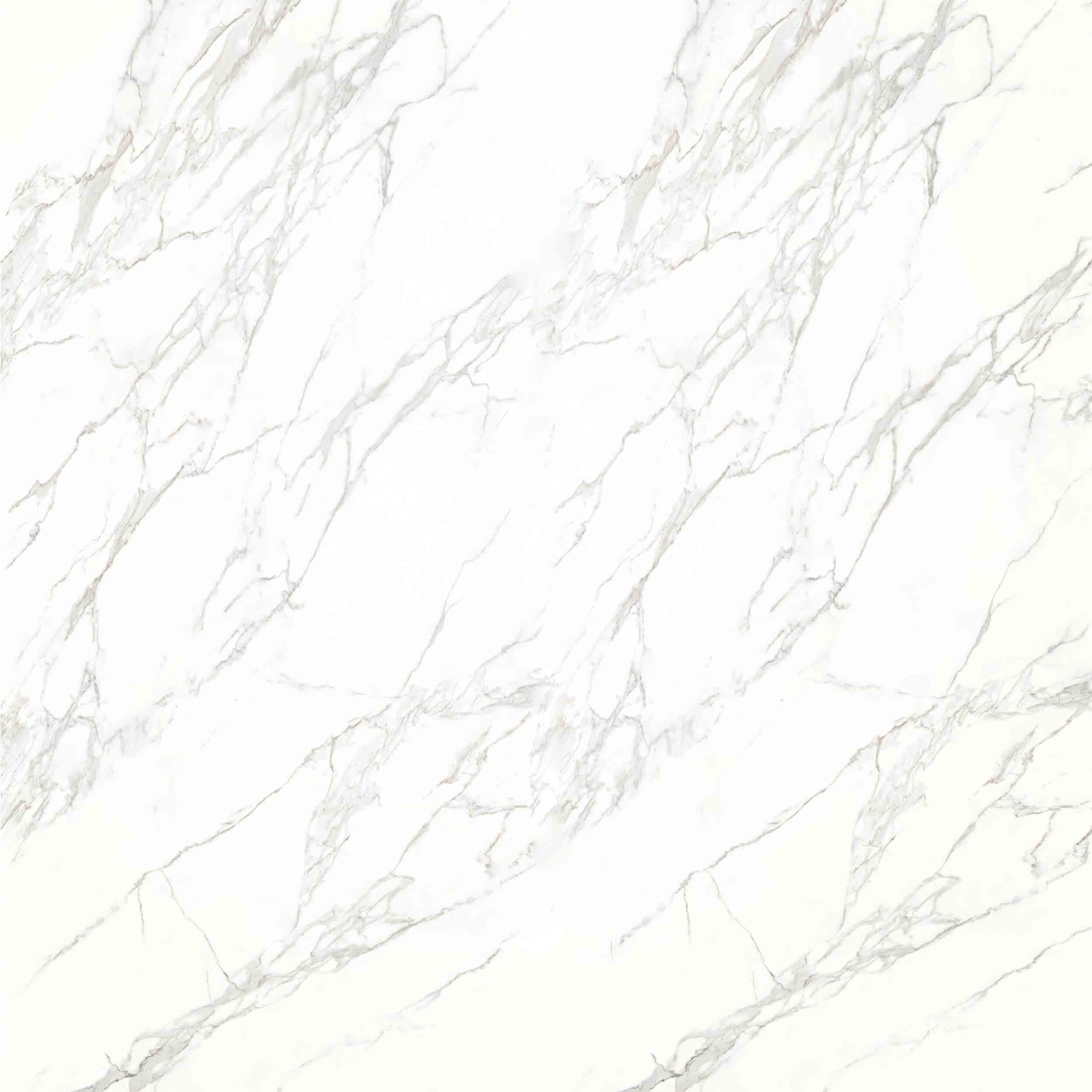 260x120cm Neolith Calacatta C01R, Polished