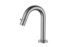 Regn fonteinkraan met gebogen uitloop, geborsteld nikkel