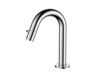 Regn fonteinkraan met gebogen uitloop, chroom