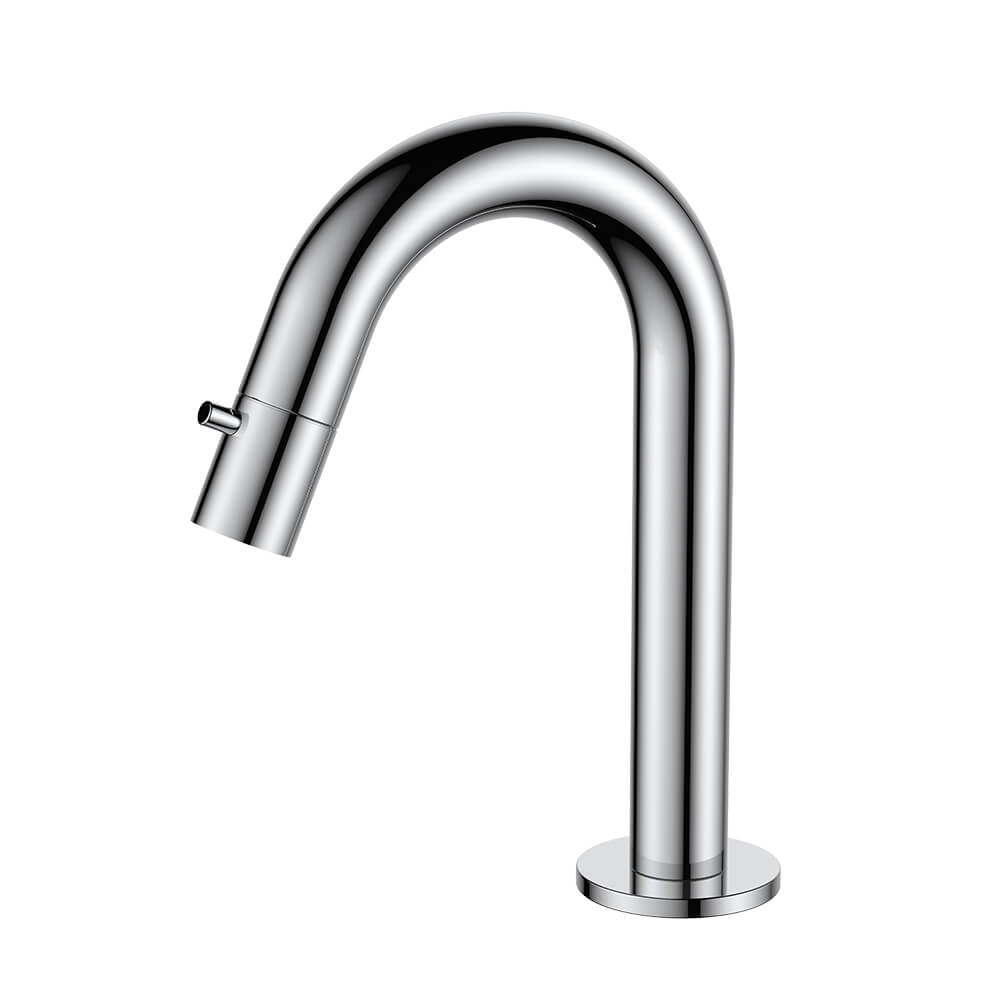 Regn fonteinkraan met gebogen uitloop, chroom