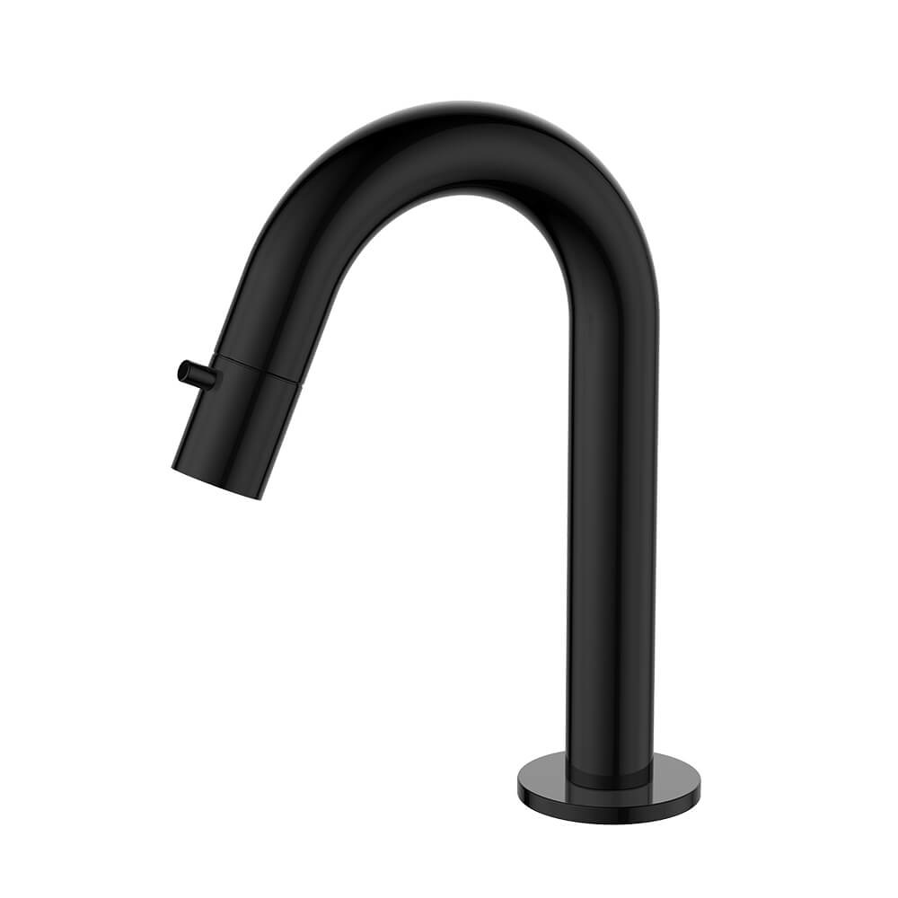 Regn fonteinkraan met gebogen uitloop, gun metal black