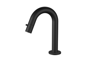 Regn fonteinkraan met gebogen uitloop, mat zwart
