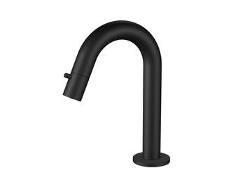 Regn fonteinkraan met gebogen uitloop, mat zwart