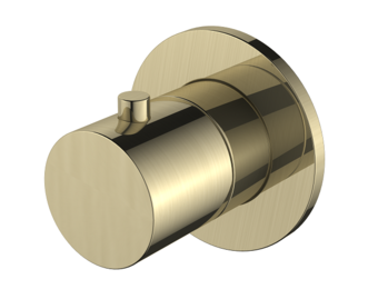 Regn stopkraan, geborsteld goud