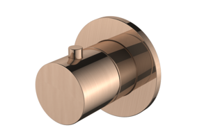 Regn stopkraan, geborsteld koper