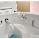 Geberit Aquaclean Mera comfort wandcloset douche wc chroom 146.210.21.1