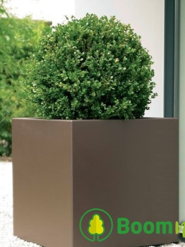 Adezz Florida | Aluminium | 100x100x100 cm