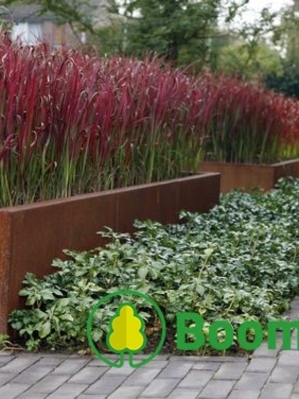 Adezz Cortenstaal | Carrez | 120x120x60 cm