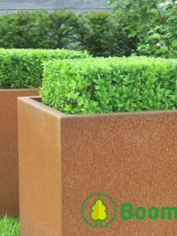 Adezz Cortenstaal | Carrez | 100x100x100 cm