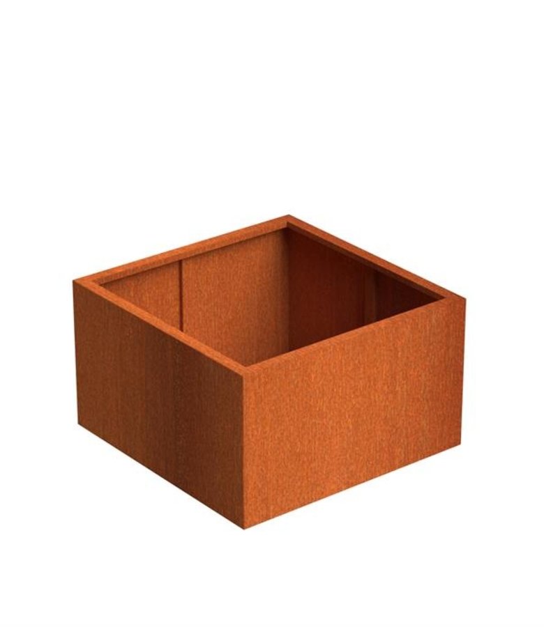 Adezz Cortenstaal | Carrez | 1000x1000x600 mm