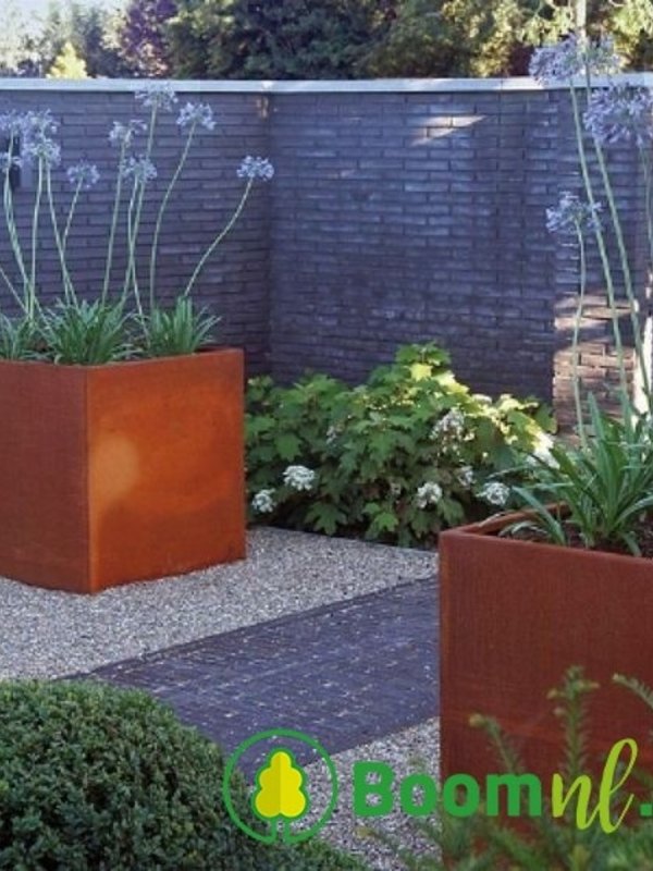 Adezz Cortenstaal | Carrez | 80x80x80 cm