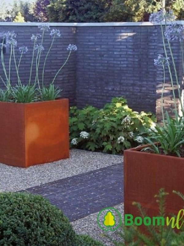 Adezz Carrez | Cortenstaal | 70x70x70 cm