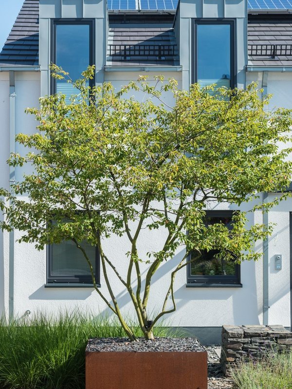 Adezz Cortenstaal | Carrez | 60x60x60 cm