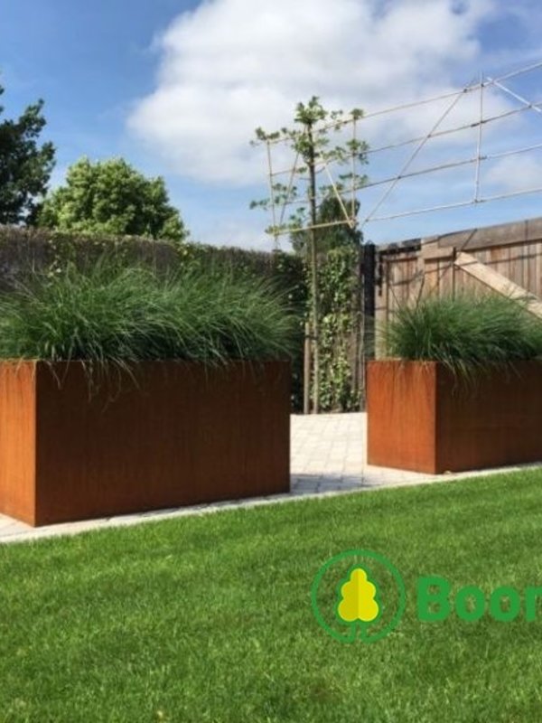 Adezz Cortenstaal | Carrez | 150x50x60 cm