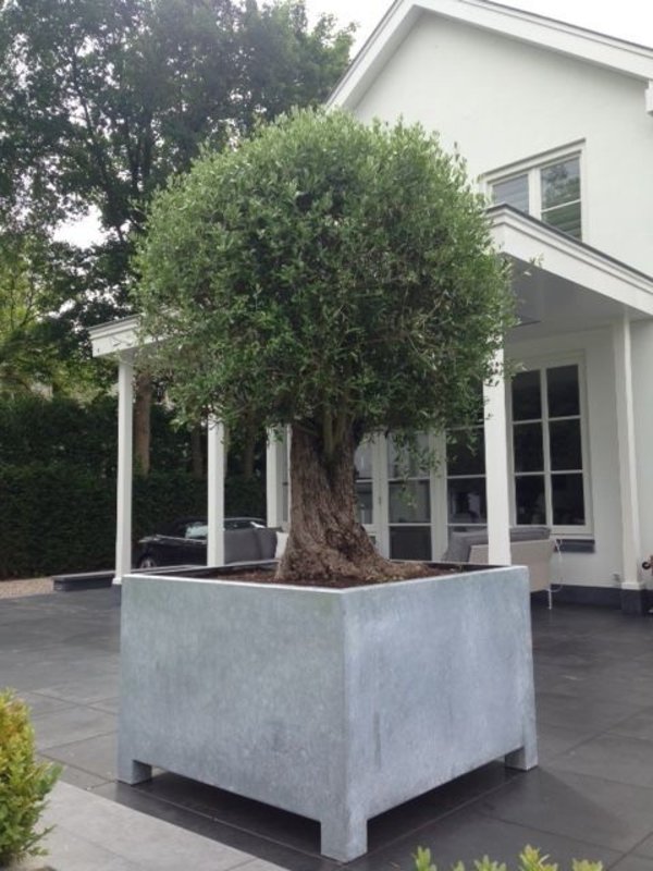 Adezz Vadim | Verzinkt Staal | 140x140x80 cm