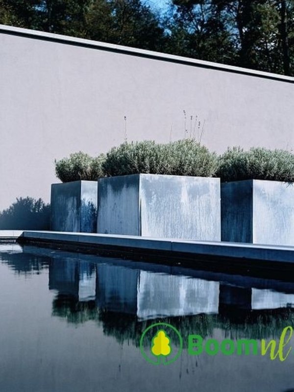 Adezz Vadim | Verzinkt Staal | 200x50x60 cm