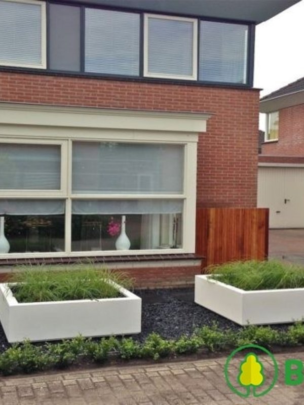 Adezz Carrez | Polyester | 160x160x600 cm