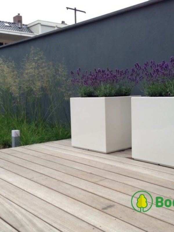 Adezz Carrez | Polyester | 100x100x60 cm