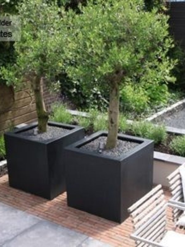 Adezz Carrez | Polyester | 60x60x60 cm