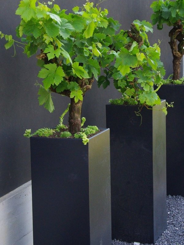 Adezz Carrez | Polyester | 40x40x120 cm