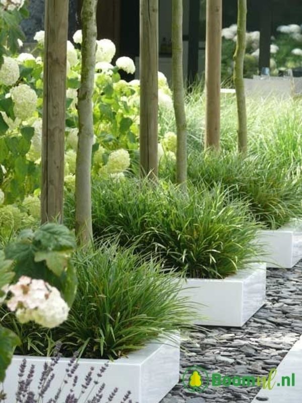 Adezz Carrez | Hoogglans Polyester | 60x0x60cm