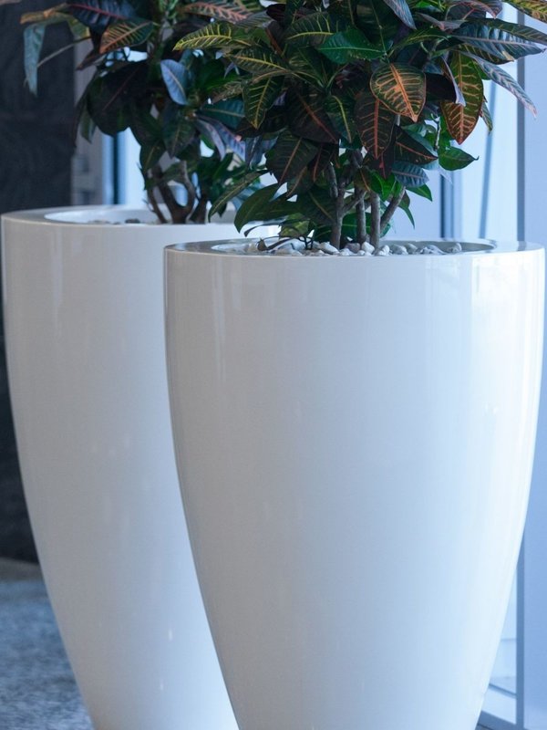 Adezz Canna | Hoogglans Polyester | 50x59cm