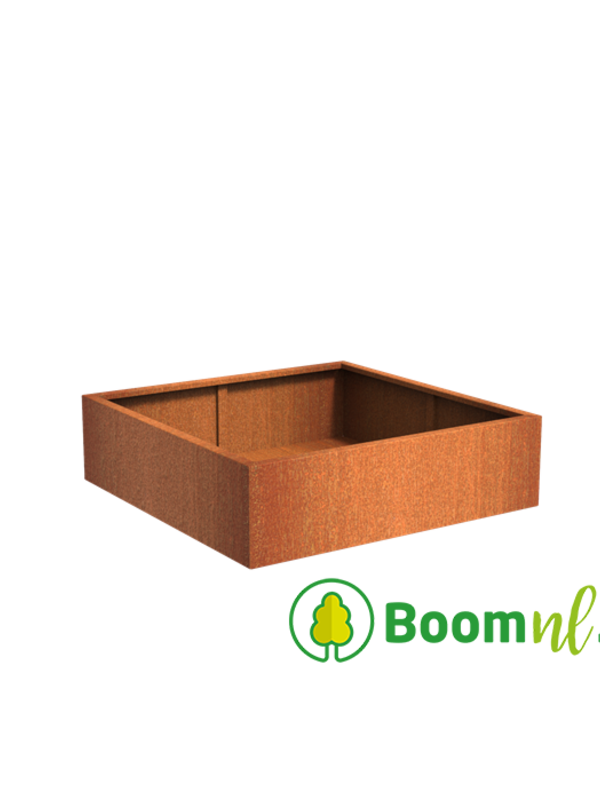 Adezz Cortenstaal | Carrez | 140x140x40 cm