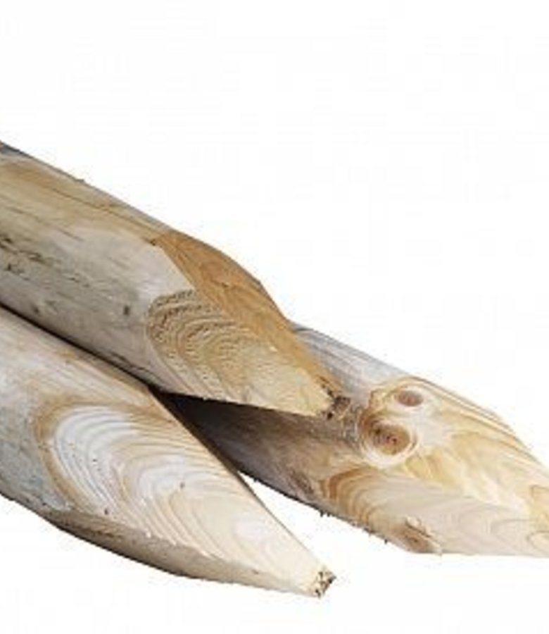 Boompaal naaldhout geschild 6 cm | lengte 250 cm