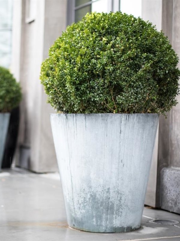 Adezz Vaza | Verzinkt staal | 80x80cm