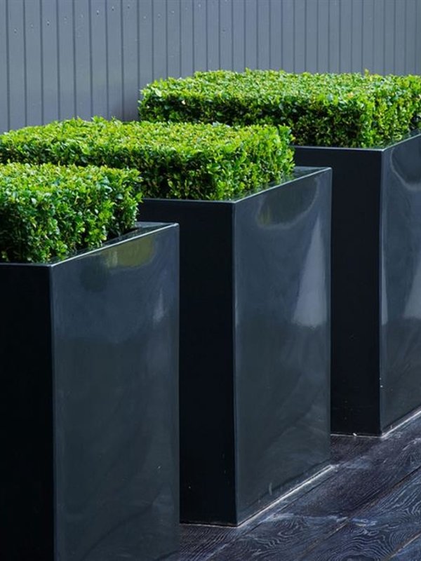 Adezz Carrez | Hoogglans Polyester | 70x70x70 cm