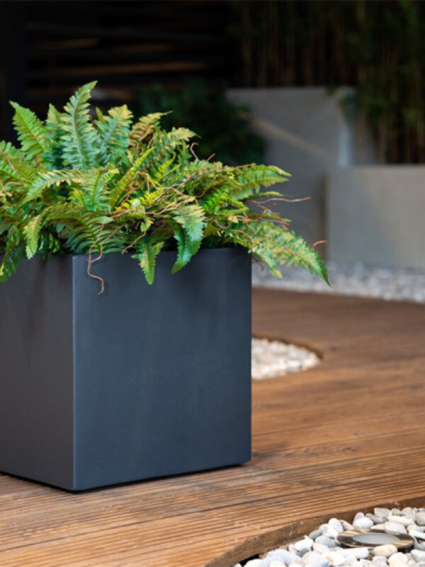 Luca Lifestyle Stretto Low Cube 80 80x80x60 - Anthracite