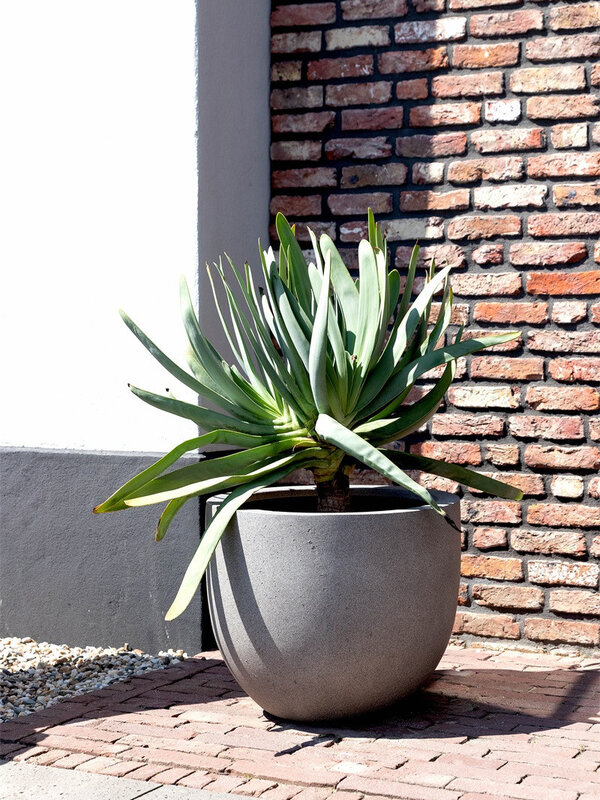 Luca Lifestyle Grigio New Egg Pot 80 80x66 - Anthracite