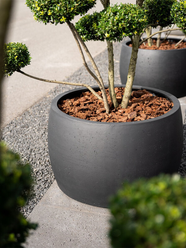 Luca Lifestyle Grigio Modern Bowl 60 60x37 - Anthracite