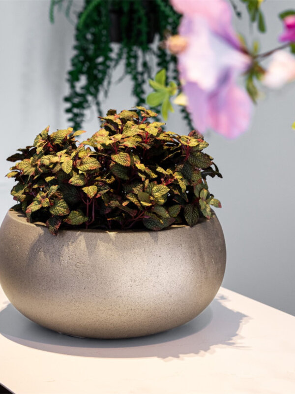 Luca Lifestyle Grigio Metallic Low Balloon 73 73x33 - Bronze