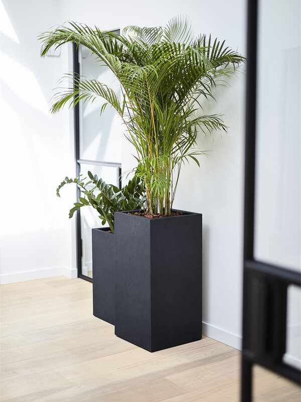 Luca Lifestyle Grigio High Cube 100 40x40x100 - Anthracite