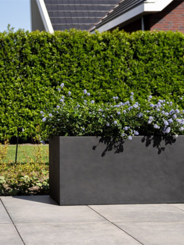 Luca Lifestyle Grigio Box 60 60x20x20 - Anthracite