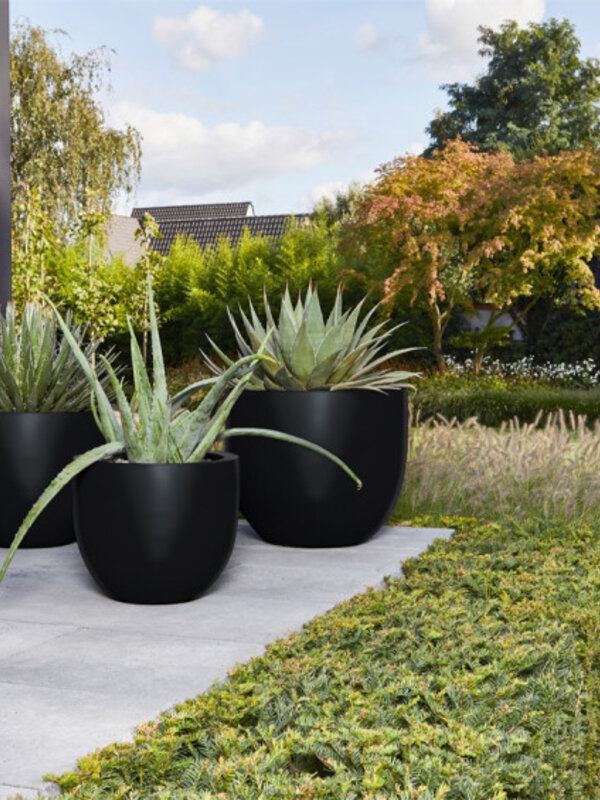 Luca Lifestyle Argento New Egg Pot 55 55x46 - Black