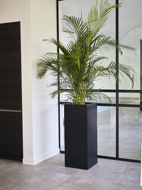 Luca Lifestyle Argento High Cube 80 30x30x80 - Black