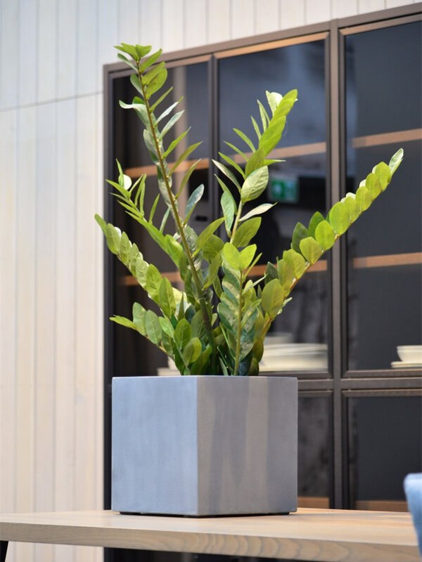 Luca Lifestyle Argento Cube 50 50x50x50 - Black