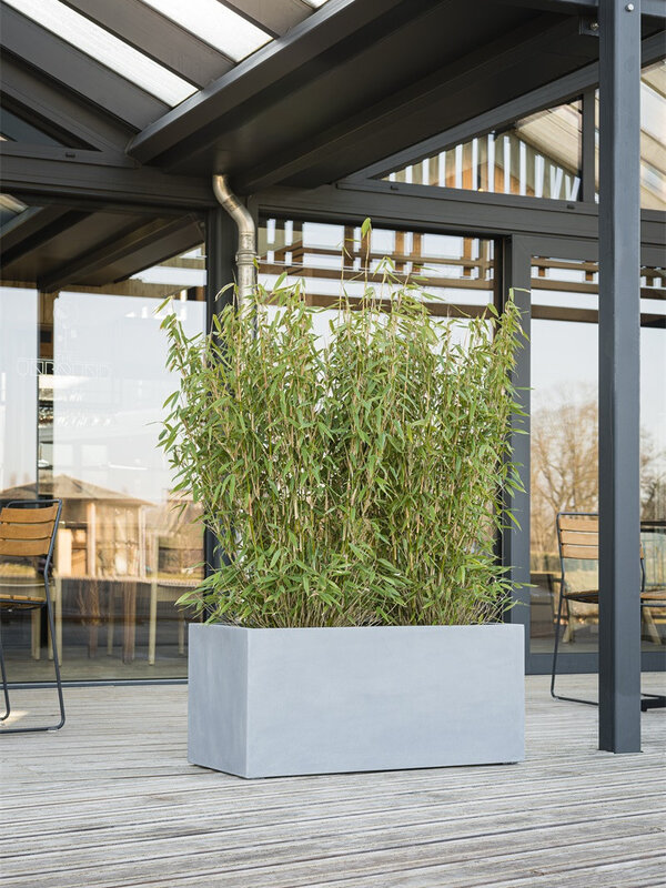 Luca Lifestyle Argento Box 100 100x50x50 - Black