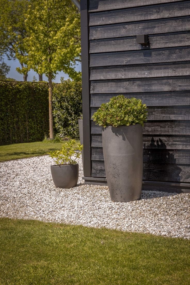 Hoe verzorg je een boom in een pot?