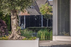 De levenscyclus van een boom: wat gebeurt er in elk seizoen?