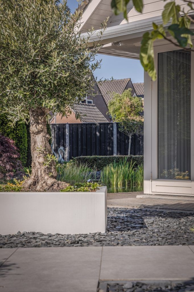 De levenscyclus van een boom: wat gebeurt er in elk seizoen?